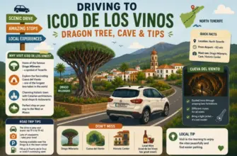 Driving to Icod de los Vinos