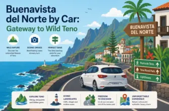 Buenavista del Norte by Car