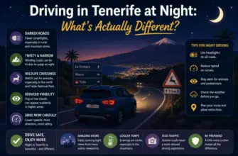 Driving in Tenerife at Night