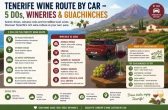 Tenerife Wine Route by Car