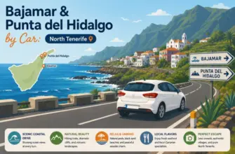 Bajamar & Punta del Hidalgo by Car